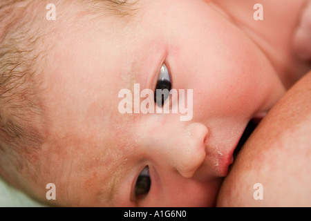Neonato allattamento al seno Foto Stock