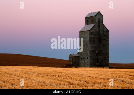 Elevatore della granella, stoppie di grano in primo piano, Sherman County Foto Stock