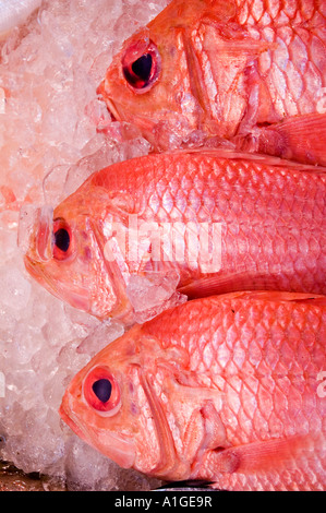 Fotografia di stock di tre pesce fresco sul ghiaccio in una strada del mercato dell'Isola di Hong Kong 2006 Foto Stock