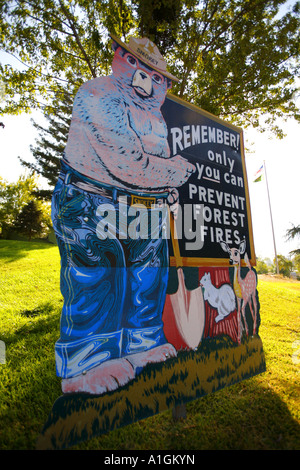 Smokey Bear segno San Bernardino Foresta Nazionale di San Bernardino County in California negli Stati Uniti Foto Stock