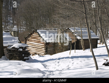 Guerra rivoluzionaria capanna di soldati in Morristown NJ USA le repliche di capanne utilizzate dai soldati continentale Foto Stock