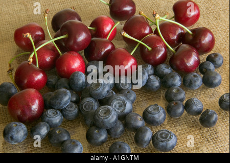 Le ciliegie di Bing e mirtilli, su tela. Foto Stock