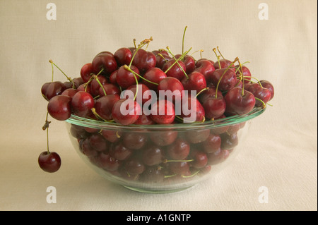 Le ciliegie di Bing "' in recipiente di vetro. Foto Stock