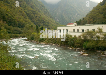 Panda gigante ospedale di conservazione, Wolong, Cina Foto Stock