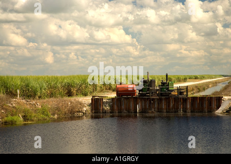 Canale di irrigazione da canna da zucchero, campo Foto Stock