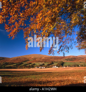 Le Ochil Hills in autunno a Dollar in Scozia Clackmannanshire Foto Stock