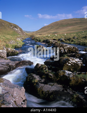 Una piccola cascata sul fiume Coquet in Coquetdale in Northumberland National Park Foto Stock