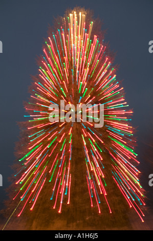 Albero di Natale Foto Stock