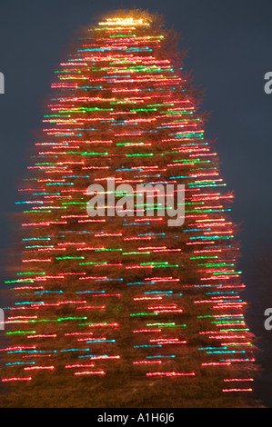 Albero di Natale Foto Stock