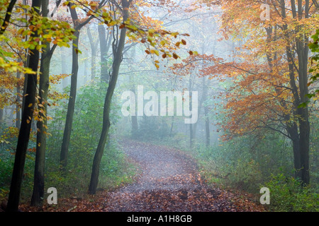 La nebbia in la ridgeway lungo il percorso a distanza Foto Stock