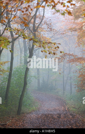 La nebbia in la ridgeway lungo il percorso a distanza Foto Stock