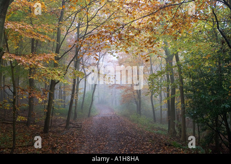 La nebbia in la ridgeway lungo il percorso a distanza Foto Stock