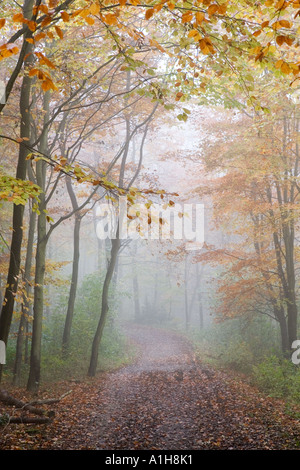 La nebbia in la ridgeway lungo il percorso a distanza Foto Stock