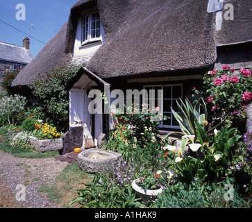 Un thached cottage con il suo giardino a Cadgwith un villaggio di pescatori la lucertola su una giornata d'estate Foto Stock