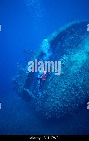 Babs Jackson immersione sul relitto Umbria Port Sudan Wingate Reef Mar Rosso Sudanese Oceano Indiano Foto Stock