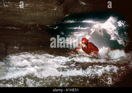 Femmina speleologo strisciando in acqua Wales UK Foto Stock