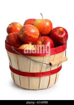 Cesto di fresca mele raccolte Foto Stock