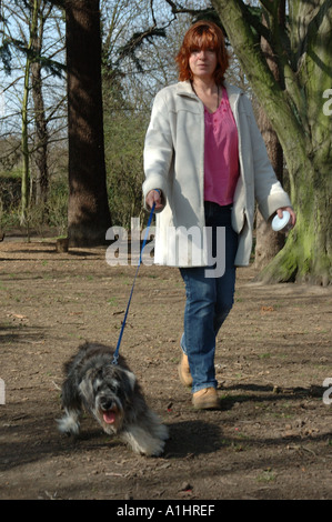 Una giovane donna cammina il suo pedigree in miniatura CUCCIOLO SCHNAUZER nei boschi a Chiswick House e giardini, Chiswick, London, Regno Unito Foto Stock