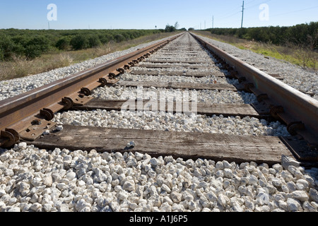 I binari della ferrovia, Florida, Stati Uniti d'America Foto Stock