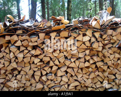 Pila di registro impilati tra due alberi di pino e sormontato da uno strato di corteccia per la protezione Foto Stock