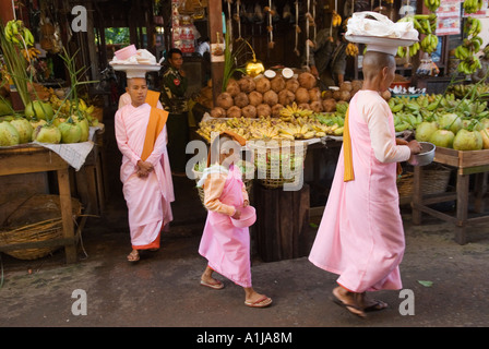 Pyin U Lwin, Myanmar. Maymyo Birmania monache presso il quotidiano mercato Shan raccogliere elemosine. Foto Stock