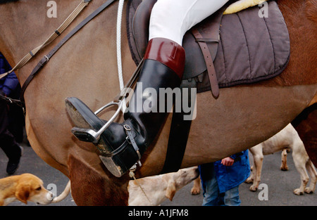 Huntsman a cavallo indossando i jodhpurs bianco e stivali in pelle in staffe a foxhunt REGNO UNITO Foto Stock