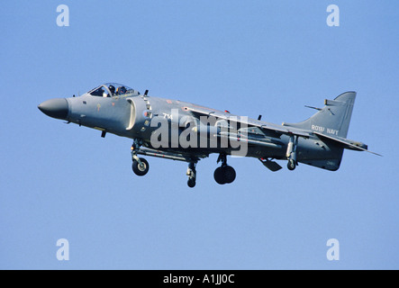 Royal Navy Sea Harrier FA2 STOVL fighter attacco aereo Foto Stock