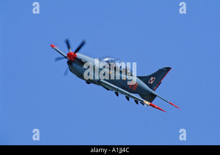 Polish Air Force Orlik aerobatic team PZL-130 Foto Stock