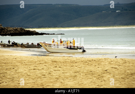 PLETTENBERG BAY IN SUD AFRICA ottobre un gruppo di turisti di ritorno da una crociera della baia Foto Stock