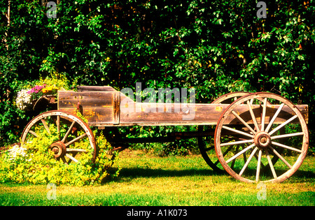 Vecchio carrello di legno con fiori al di fuori del salone Malemute estere Alaska USA Foto Stock