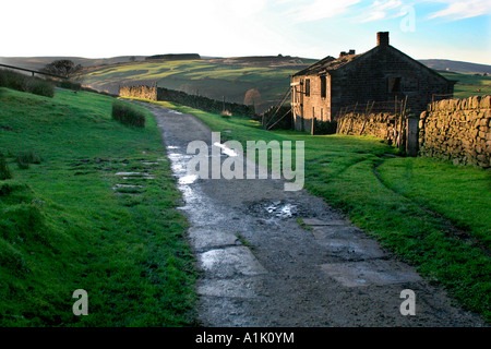 Agriturismo abbandonati sulla brughiera sopra Haworth Foto Stock