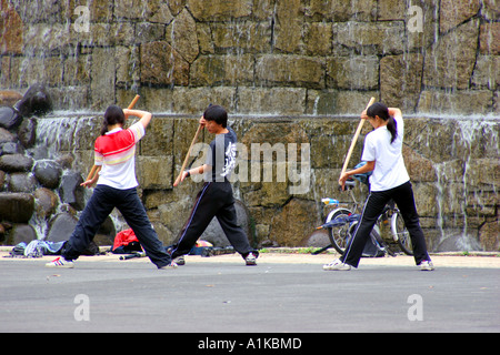 La pratica di kendo, shinjuku central park, tokyo Foto Stock