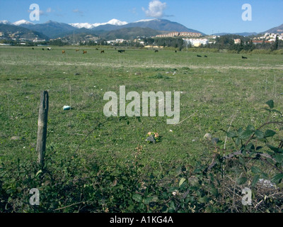 La neve sulla cima di una montagna di neve in Spagna in Spagna las Serranías de Ronda montagne andalusia andalusia andaluso andaluso Foto Stock