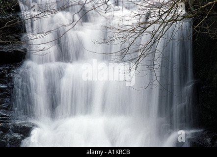 Watersmeet cascata nel Devon Regno Unito Regno Unito Foto Stock