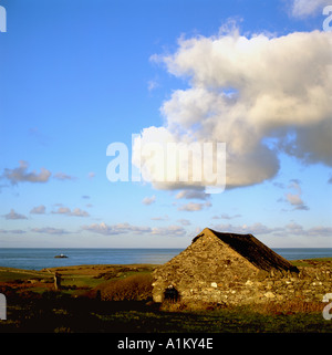 Un fienile in pietra e la piccola isola di 'Media Mouse' della costa nord di Anglesey Wales UK Foto Stock