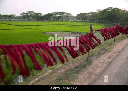 Red strisce di stoffa appesi ad asciugare sul lato della strada in Bangladesh Foto Stock