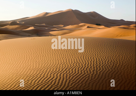 Erg Chebbi dune di Merzouga, Tafilalt, Marocco Foto Stock