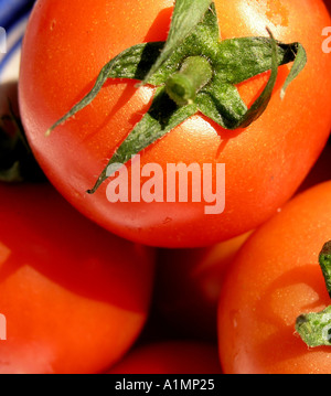 Pomodori organico in una ciotola Foto Stock