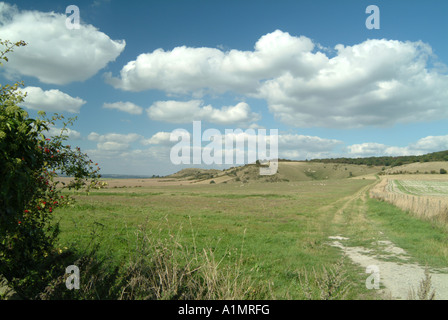 Passi Hill e Ivinghoe Beacon Foto Stock