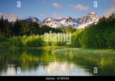 Mt Alice e un piccolo stagno sulla Penisola di Kenai Chugach National Forest Seward Alaska Foto Stock