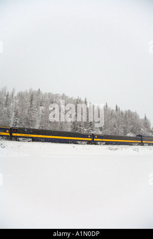 L'Alaska Railroad viaggia lungo il sentiero basso lago durante l inverno Chugach National Forest Alaska Foto Stock