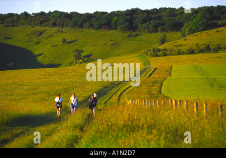 Percorso dalla collina Pitstone a Ivinghoe Beacon Buckinghamshire Foto Stock