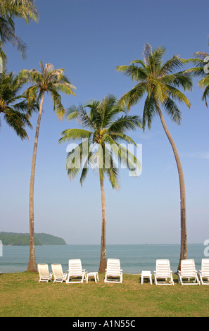 Palme e perfect blue sky sulla tropicale Isola malese di Langkawi Asia Foto Stock