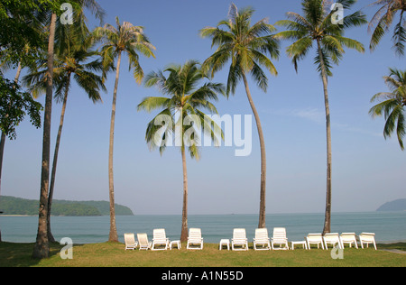 Palme e perfect blue sky sulla tropicale Isola malese di Langkawi Asia Foto Stock