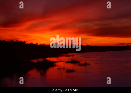 Assateague Island in Maryland e s la metà meridionale chincoteague island in Virginia è un isola barriera sulla costa atlantica che è la casa di molti popolari parchi e un National Wildlife Refuge Foto Stock