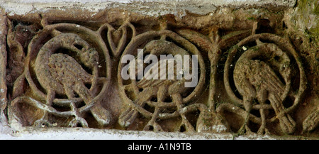 Anglo-Saxon carving di uccelli in vinescroll a Breedon sulla collina Chiesa in Inghilterra LEICESTERSHIRE REGNO UNITO Foto Stock