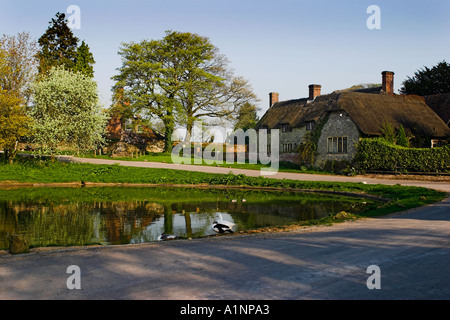 Ashmore Village e stagno in Dorset Foto Stock