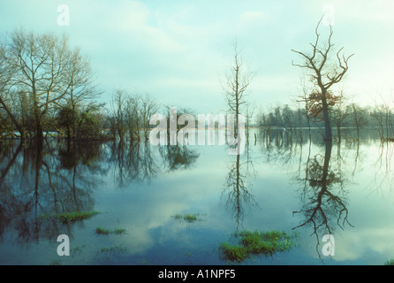 Il fiume Avon acqua di inondazione copre i campi vicino a Ringwood Hampshire Foto Stock