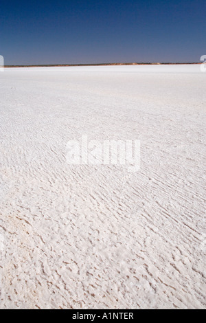 Crosta di sale Lago Hart Stuart Highway vicino a Woomera Outback South Australia Australia Foto Stock