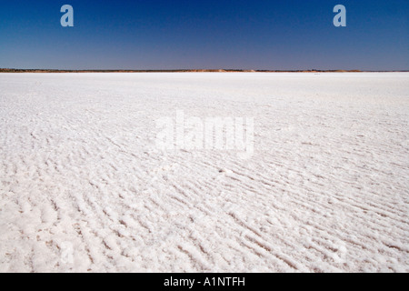 Crosta di sale Lago Hart Stuart Highway vicino a Woomera Outback South Australia Australia Foto Stock